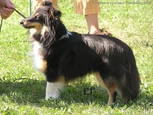 Acca Larentia Figa Ruminy