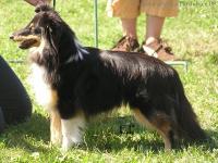 Acca Larentia Figa Ruminy