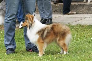 Tina Gold z Vesničky u hranic