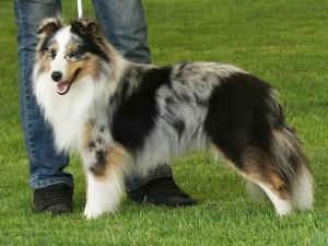 CLAYMORE Modrá odysea