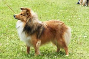 Cestovatelka Malý pasáček