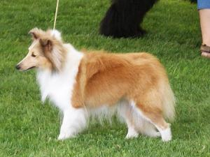 Christina Aguilera Diabelskie Rozd