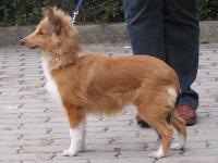 JESSIE z Vrchovinské stráně