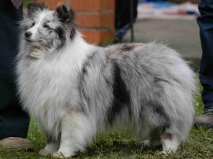 Lakewood’s n Belmar Elizabeth