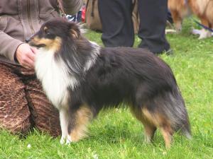 BODIE z Otvovické skály