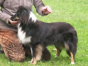 BAQUNISILE Modrá odysea