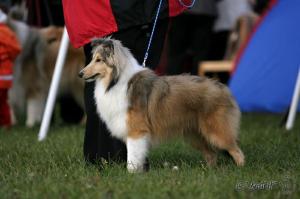 ONLY MY BUMBLE-BEE  z Heřmanova dvora