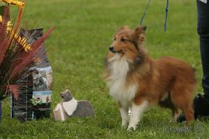 WALERIÁN ze Souhvězdí Orionu