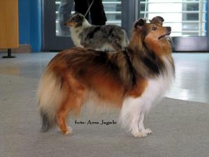 Azra z Magicznego Wzgorza