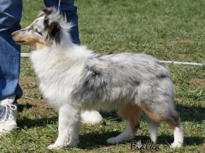 LEGENDA BLUE z Ďáblovy studánky