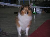 Rannerdale Dancing Queen