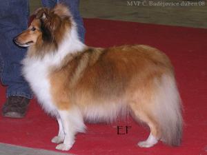 Rannerdale Dancing Queen