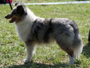 BARUNKA z Otvovické skály