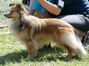 Amber Lilly-of-the-Valley
