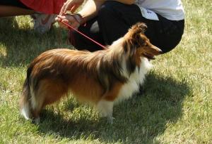 AISHA z Lomu ve Skále