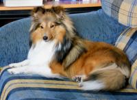 AISHA z Lomu ve Skále