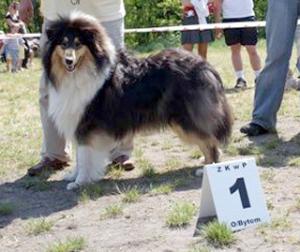 Handsome Boy Ko-To-Ra