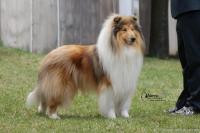 Poker Face vom Old Tom