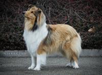 GIULIA  D´OR Lago Benea