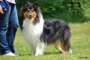 Because It´s Me African Gold