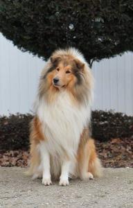 Fruit du Soleil Lago Benea