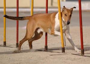 Escape Krásná Louka