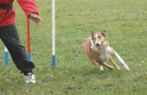 Day Dream Krásná Louka