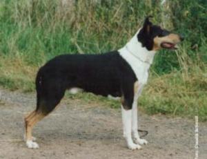 Markylla's My Mystery Man