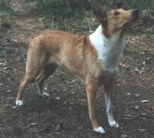 Dalimattas Just A Smile