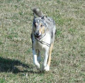 Být či nebýt Nirreterrit