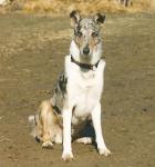 Být či nebýt Nirreterrit