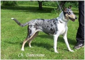 Oneway's Tales Of Glory