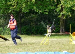 Delikatesa Nirreterrit