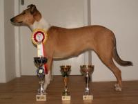 Anabela of Bohemia Balada