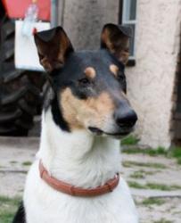 Isidor Krásná Louka