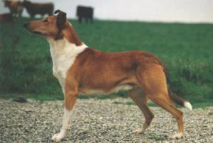 Sunsweet Smooth Operation