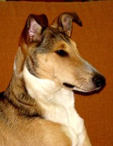 Anja Beau Flying Ear