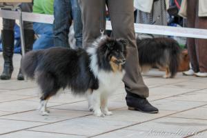 C-PIRO JUNIOR Alkyra