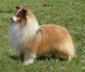 Evros Only One Way Oliver