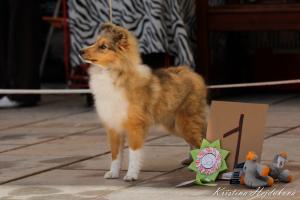 Noemi Nessi Manepo Ideál