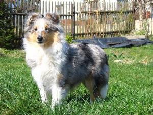 Bailey Beauty Maralumi