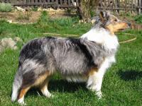 Bailey Beauty Maralumi