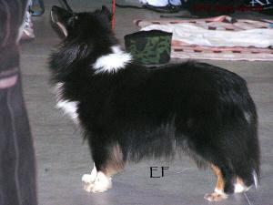 ICE LADY pod Borovú horu