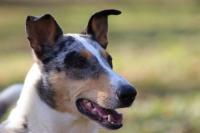 Badys Blue Zátoka snů