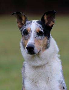 Badys Blue Zátoka snů