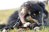 Never Give Up Koryfej