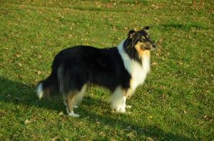 Brita Black Finestra