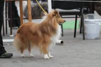 Anthony Fantom Chlumu CS