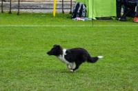 Status Quo Chancy Remus