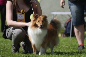 Edmont z Lomu ve Skále